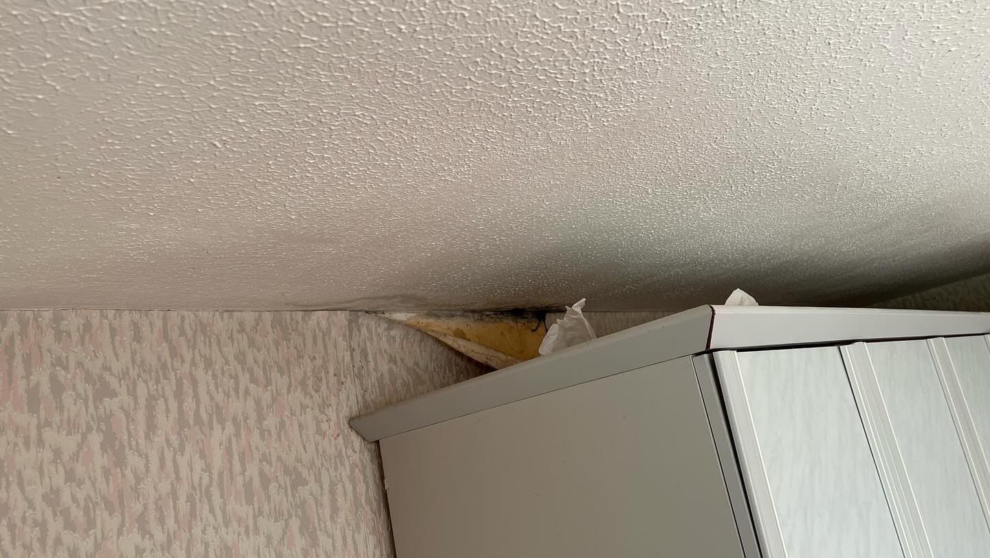 What are the First Signs of Damp in a House? LM Surveying Services