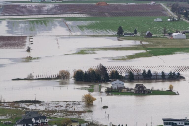 Is Your Home Prone to Flooding? What Surveyors Look For