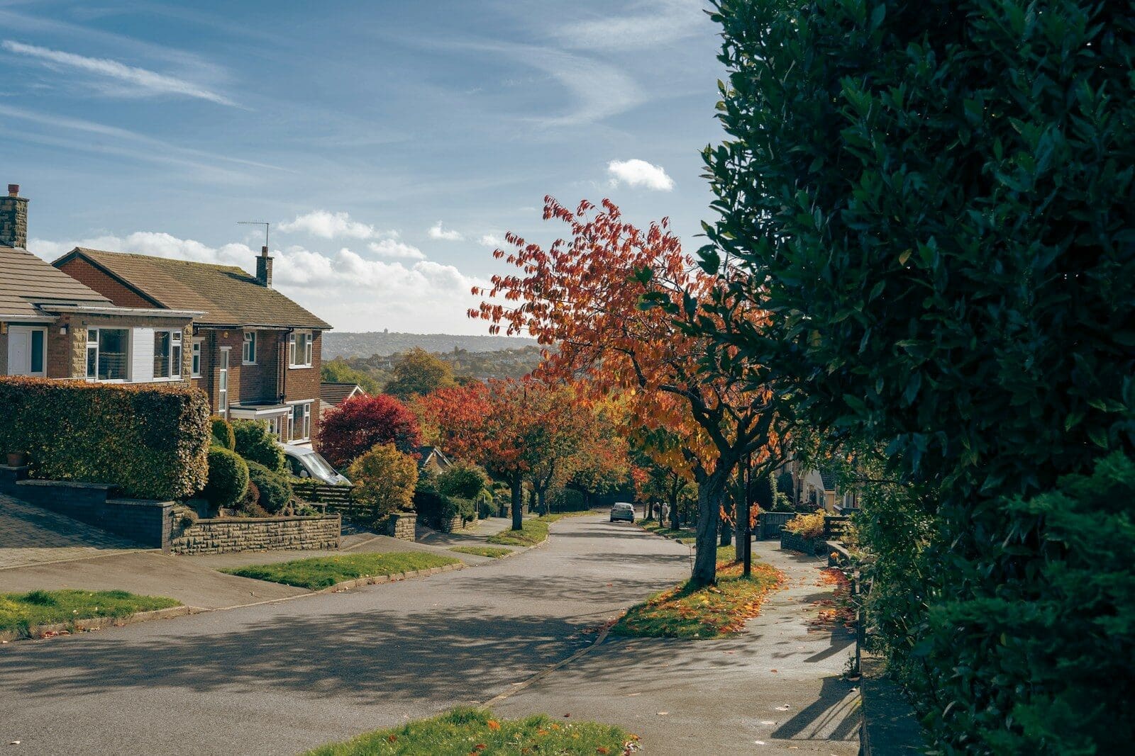 a street with trees and houses
