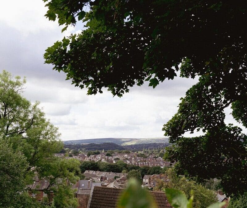 When to Get a HomeBuyer Survey in the Buying Process